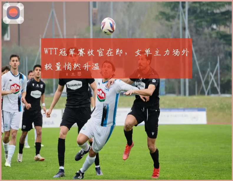 WTT冠军赛收官在即，女单主力场外较量悄然升温