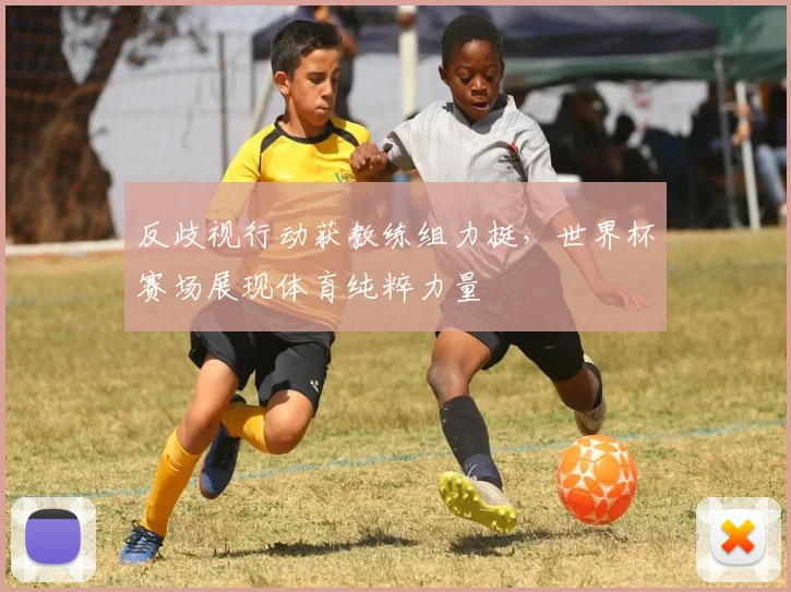 反歧视行动获教练组力挺，世界杯赛场展现体育纯粹力量